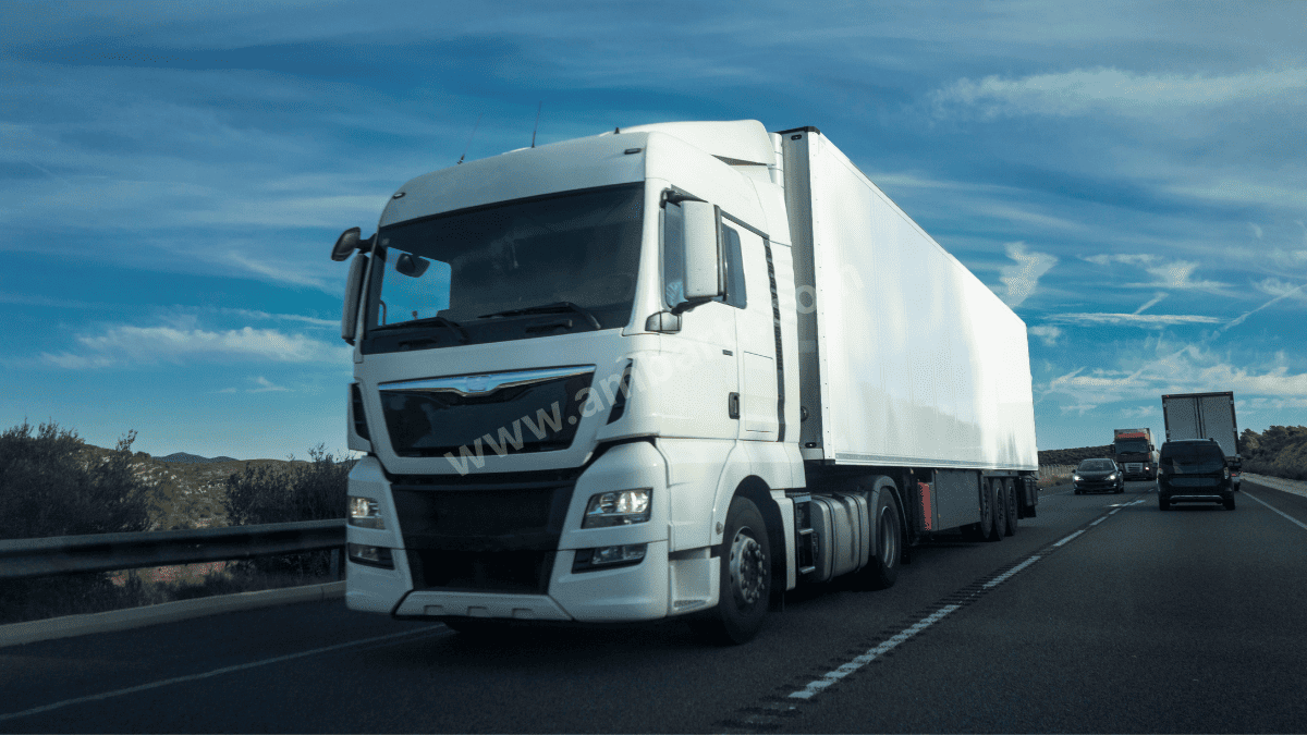 Marmaraereğlisi Şehirler Arası Taşıma